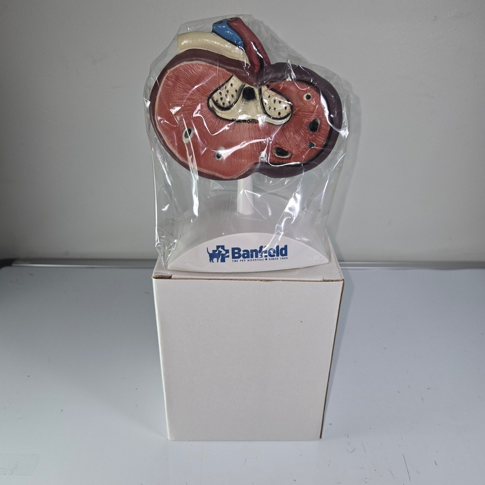 Banfield‎ Kidney Anatomical Model  Education Study Aid Veterinary
